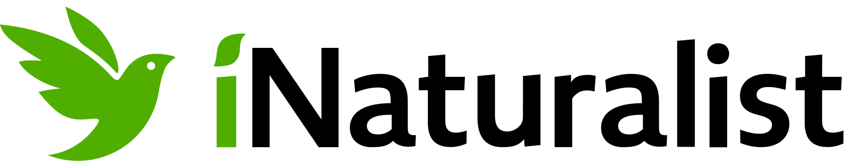 iNaturalist