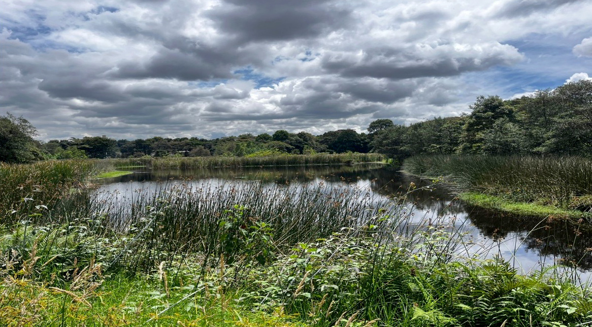 Santa María del Lago