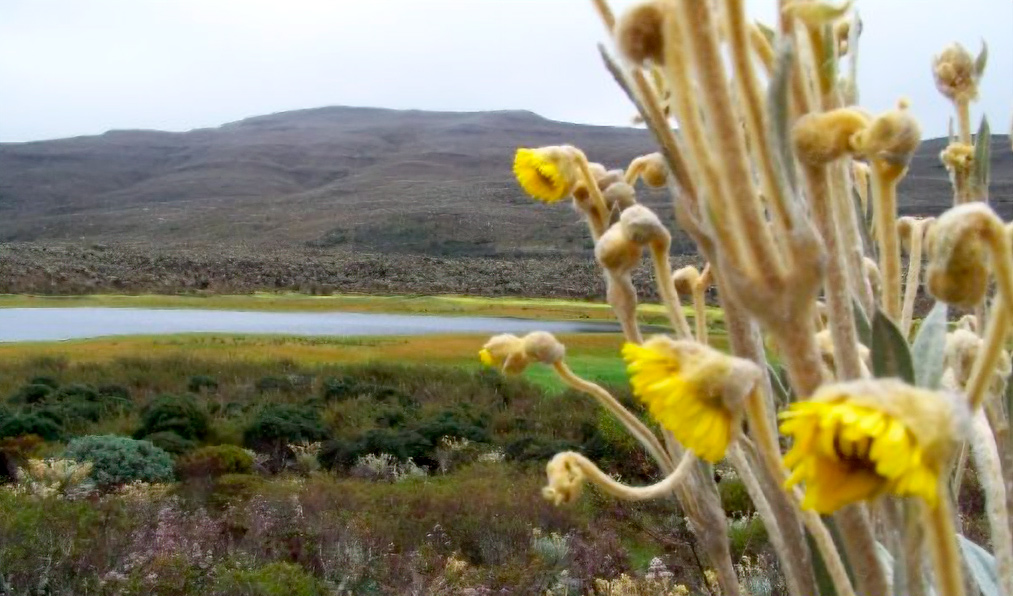 Sumapaz National Natural Park