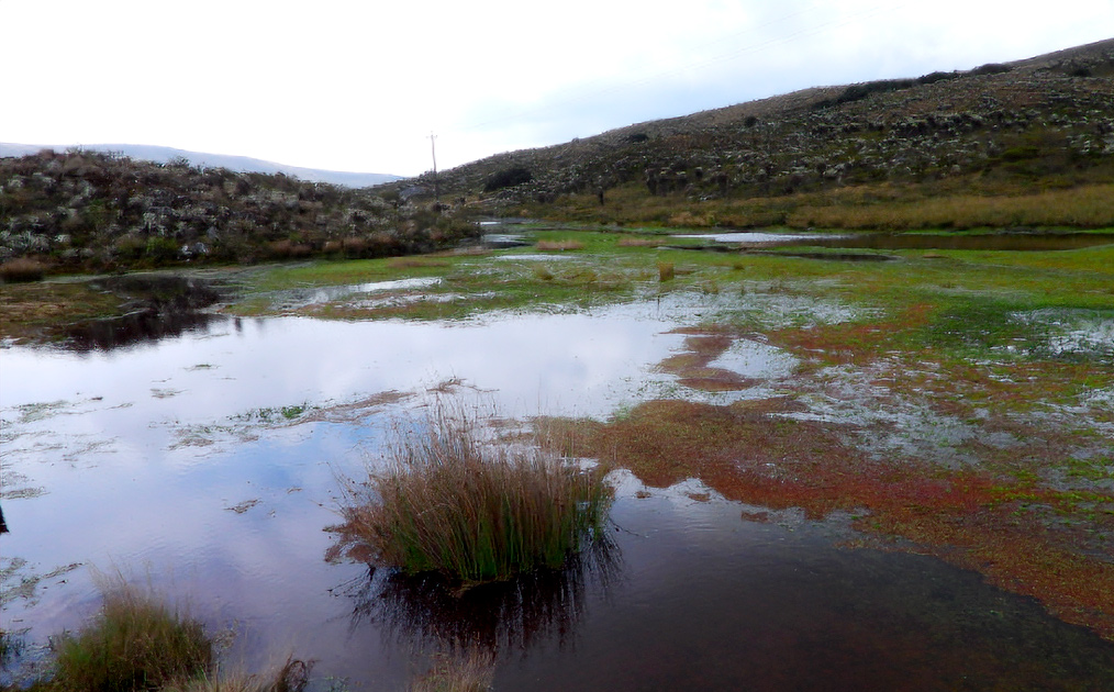 Sumapaz 3